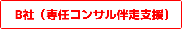モデルケース_B社(専任コンサル伴走支援)