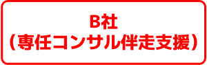 モデルケース_B社(専任コンサル伴走支援)